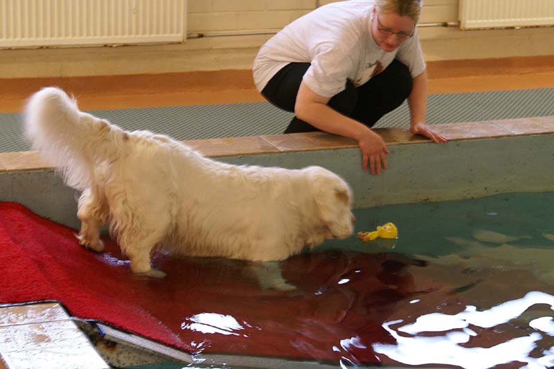 DogSpa_16_Oct_2009_Xavier_b