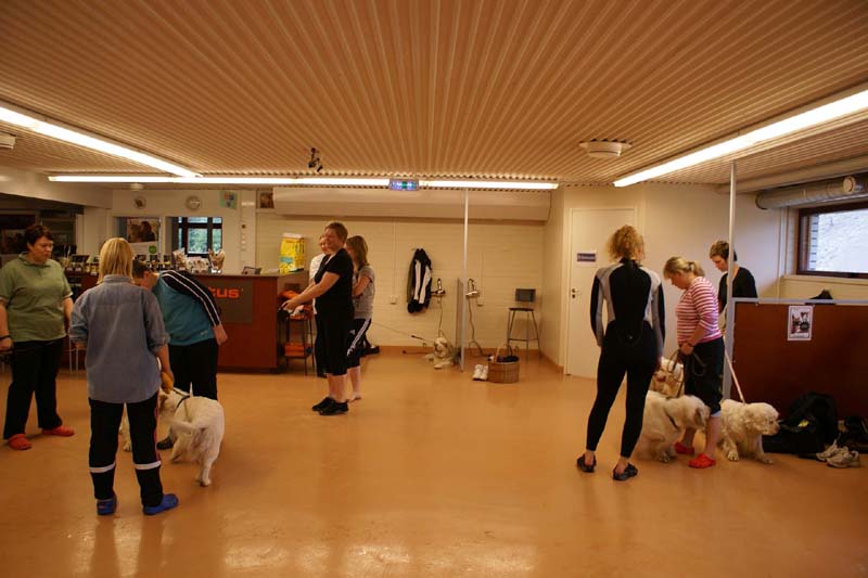 DogSpa_16_Oct_2009_a