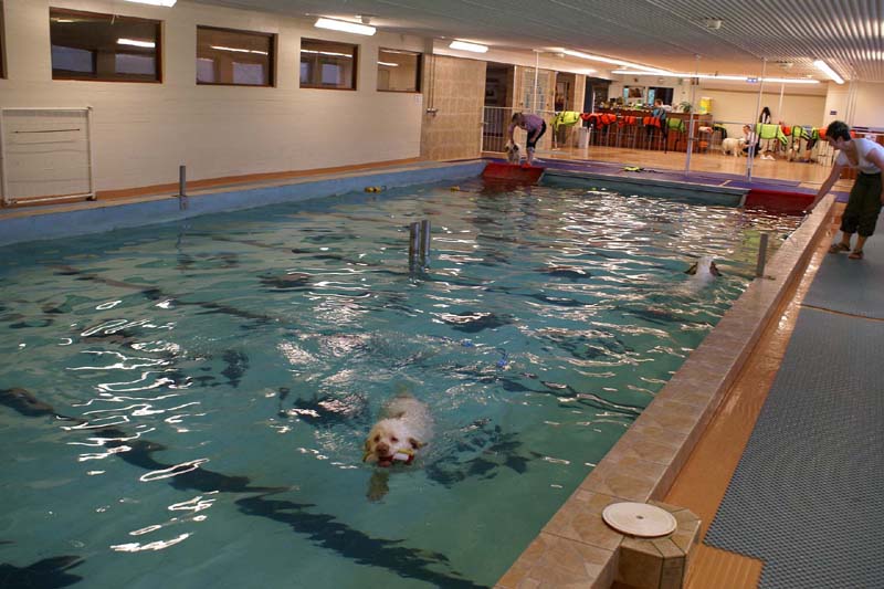 DogSpa_16_Oct_2009_f