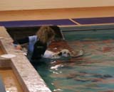 DogSpa_16_Oct_2009_Cotton