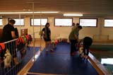 DogSpa_16_Oct_2009_b