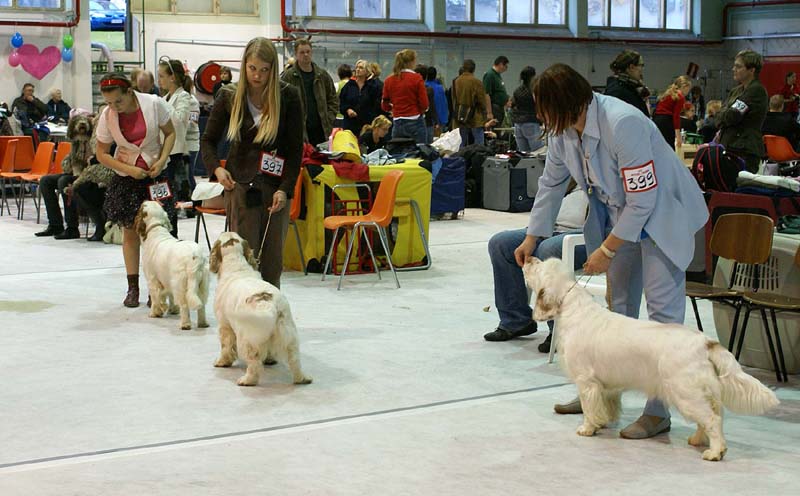 SSL19_Oct_2008_BestBitch