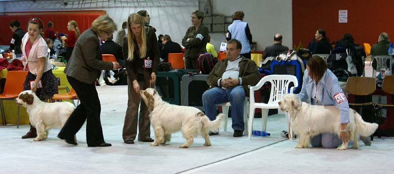 SSL19_Oct_2008_BestBitch_b