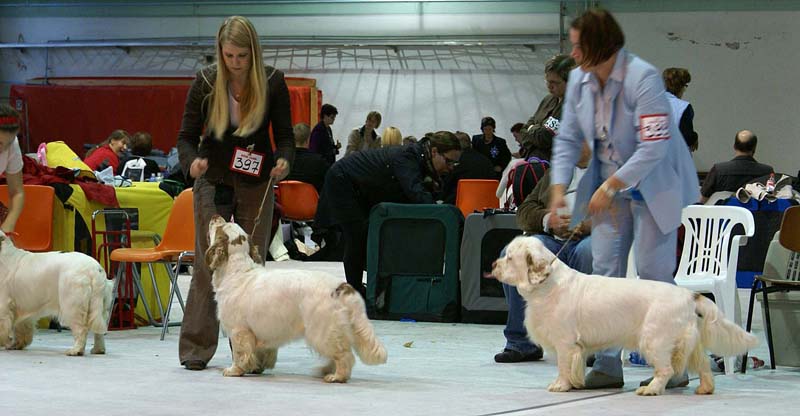 SSL19_Oct_2008_BestBitch_c