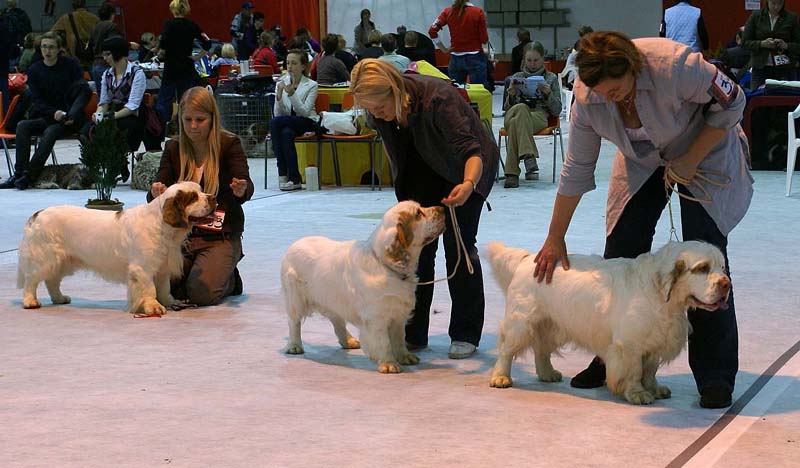 SSL19_Oct_2008_BestDog_c