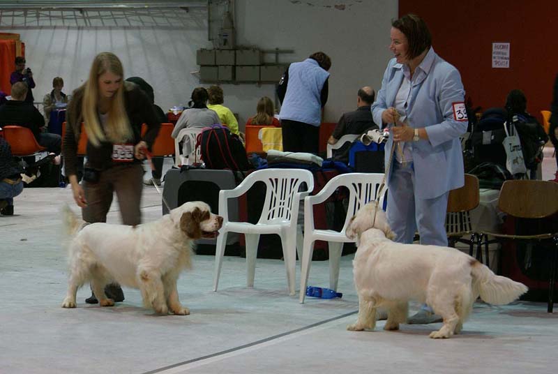 SSL19_Oct_2008_Best_of_Breed