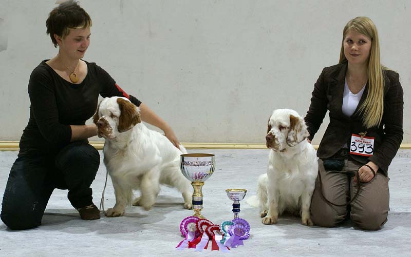 SSL19_Oct_2008_Best_of_Breed_Puppy_b