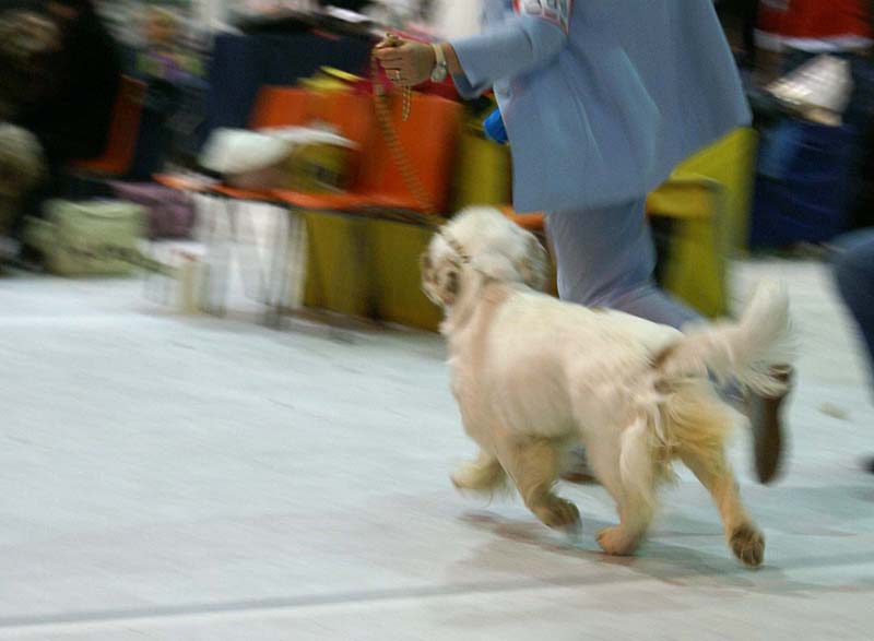 SSL19_Oct_2008_BumbaaMedvediSmecka