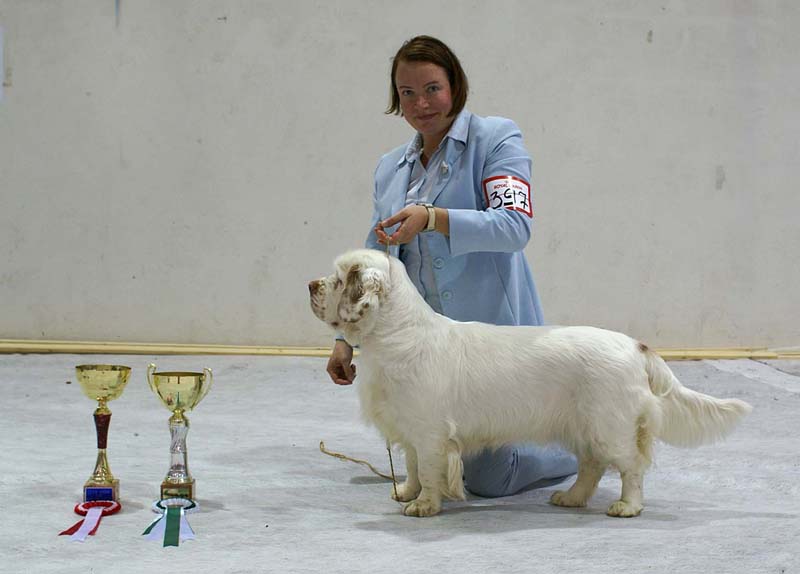 SSL19_Oct_2008_BumbaaMedvediSmecka_BestOfOppositeSex_g