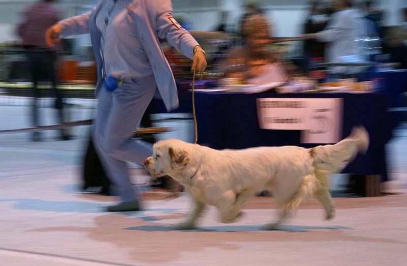 SSL19_Oct_2008_BumbaaMedvediSmecka_b