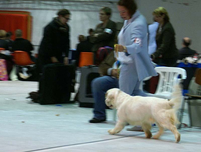 SSL19_Oct_2008_BumbaaMedvediSmecka_d