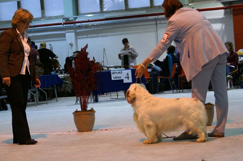 SSL19_Oct_2008_NexusSTVanguard