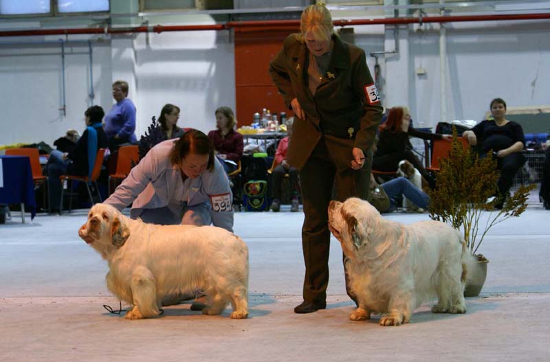 SSL19_Oct_2008_NexusSTVanguard_STAthos