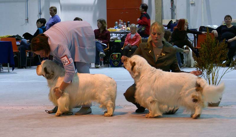 SSL19_Oct_2008_NexusSTVanguard_STAthos_b