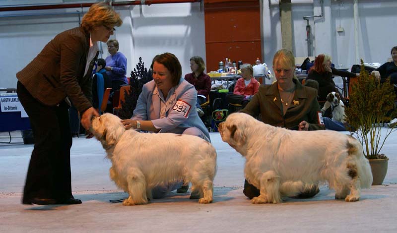 SSL19_Oct_2008_NexusSTVanguard_STAthos_c