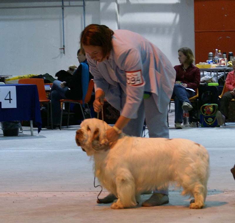 SSL19_Oct_2008_NexusSTVanguard_b