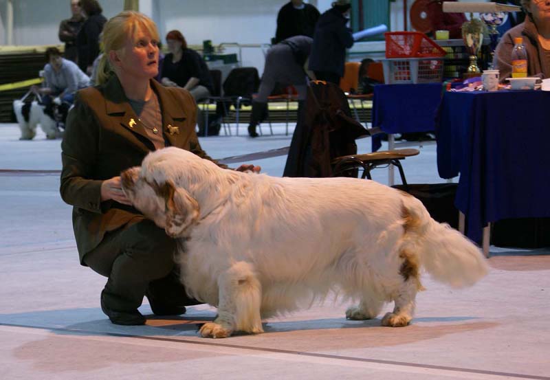 SSL19_Oct_2008_STAthos