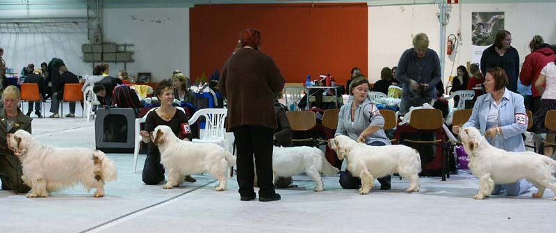 SSL19_Oct_2008_STAthos_ProgenyGroup