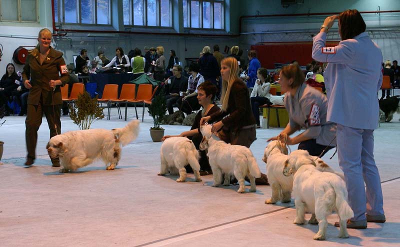 SSL19_Oct_2008_STAthos_ProgenyGroup_b