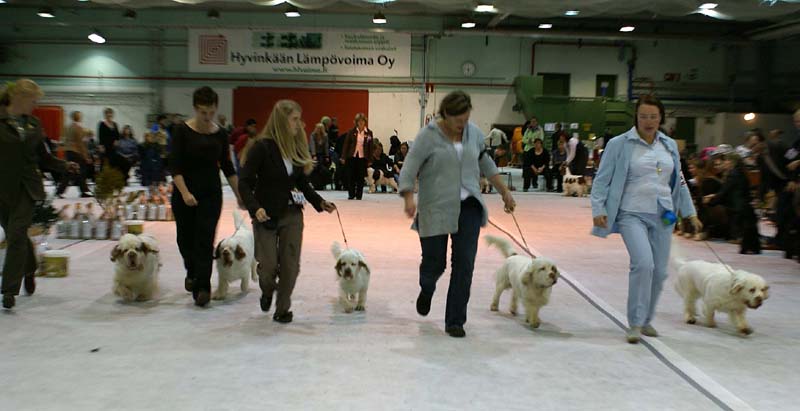 SSL19_Oct_2008_STAthos_ProgenyGroup_c