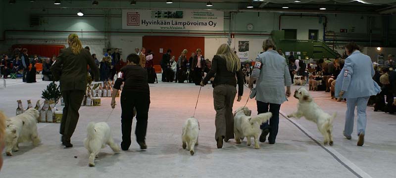 SSL19_Oct_2008_STAthos_ProgenyGroup_e