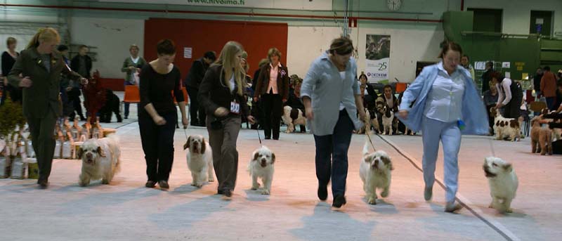 SSL19_Oct_2008_STAthos_ProgenyGroup_h