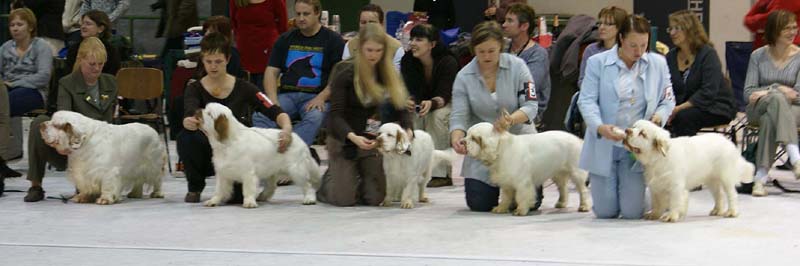 SSL19_Oct_2008_STAthos_ProgenyGroup_k