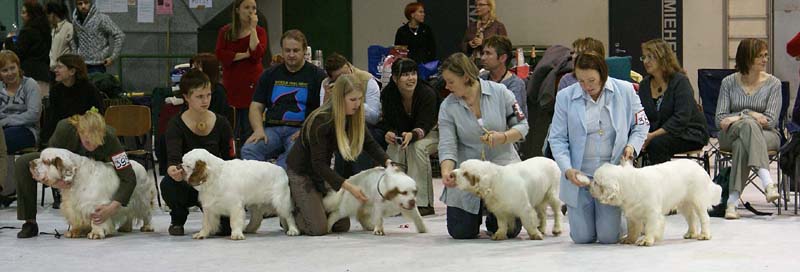 SSL19_Oct_2008_STAthos_ProgenyGroup_l