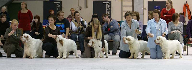 SSL19_Oct_2008_STAthos_ProgenyGroup_m