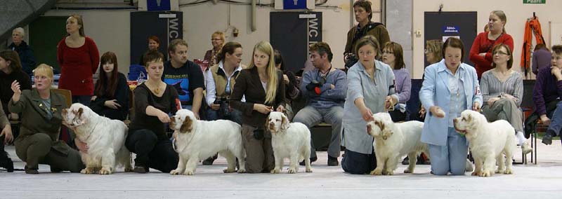 SSL19_Oct_2008_STAthos_ProgenyGroup_o