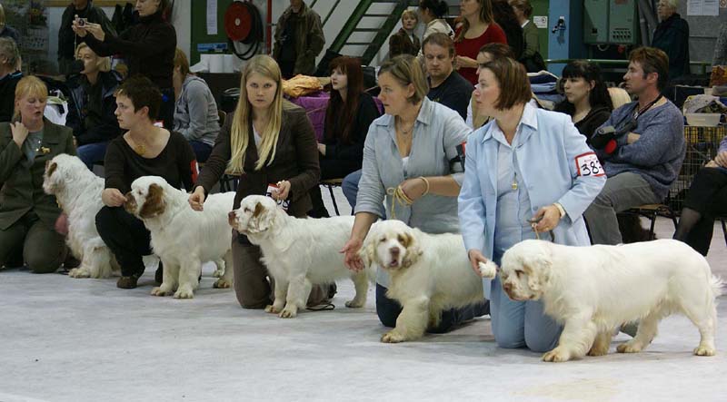 SSL19_Oct_2008_STAthos_ProgenyGroup_p