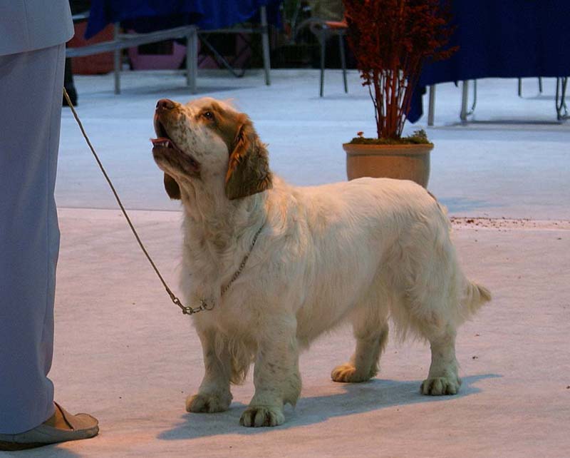 SSL19_Oct_2008_ST_HolyMoly_b