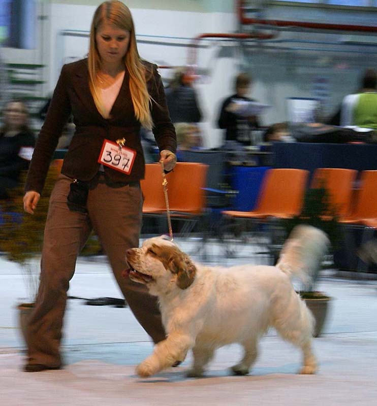 SSL19_Oct_2008_ST_HolyMoly_i