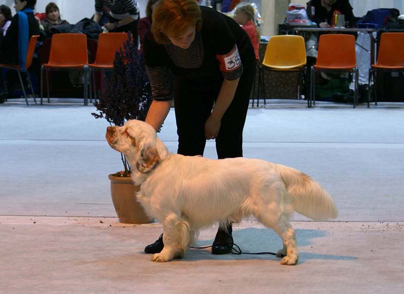 SSL19_Oct_2008_ST_RaymondWeil