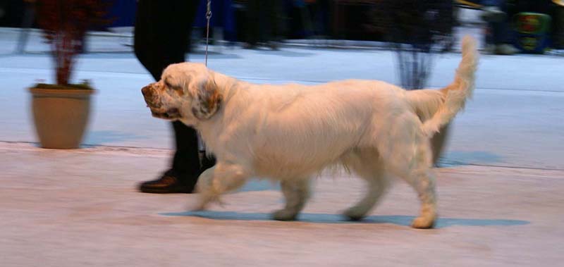 SSL19_Oct_2008_ST_RaymondWeil_e