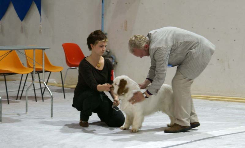 SSL19_Oct_2008_ST_SnowGo_BestInShow4_Puppy