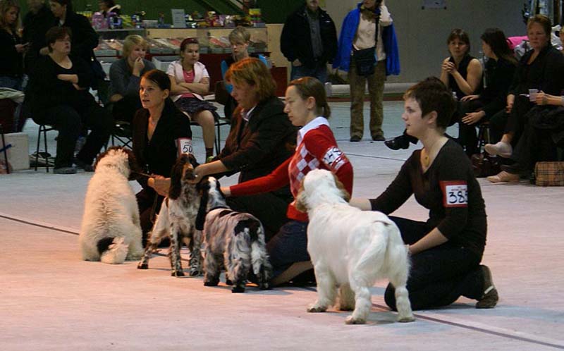 SSL19_Oct_2008_ST_SnowGo_BestInShow4_Puppy_k