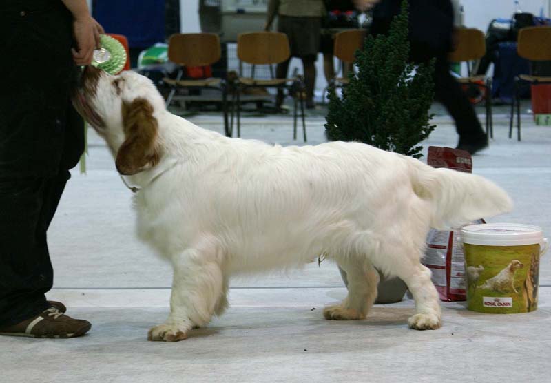 SSL19_Oct_2008_ST_SnowGo_BestInShow4_Puppy_p