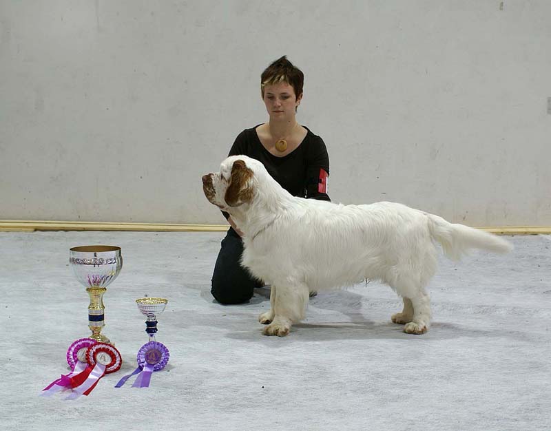 SSL19_Oct_2008_ST_SnowGo_BestOfBreedPuppy