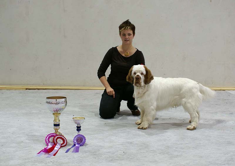 SSL19_Oct_2008_ST_SnowGo_BestOfBreedPuppy_e