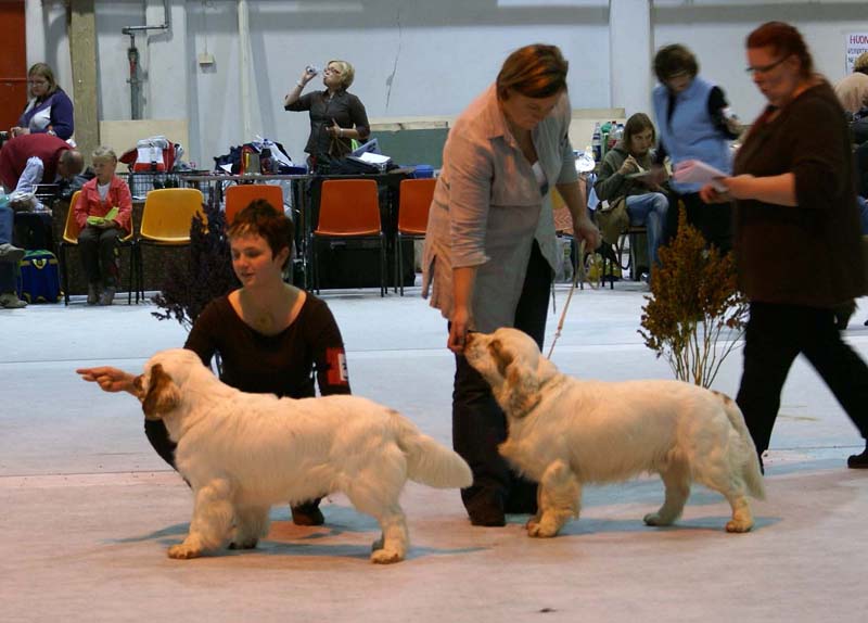 SSL19_Oct_2008_ST_SnowGo_ST_SnowHow_b