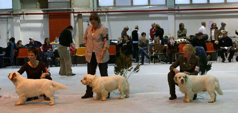 SSL19_Oct_2008_ST_SnowGo_SnowHow_YesOrSnow