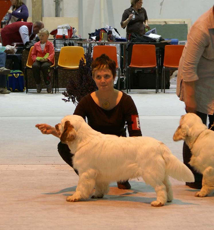 SSL19_Oct_2008_ST_SnowGo_d