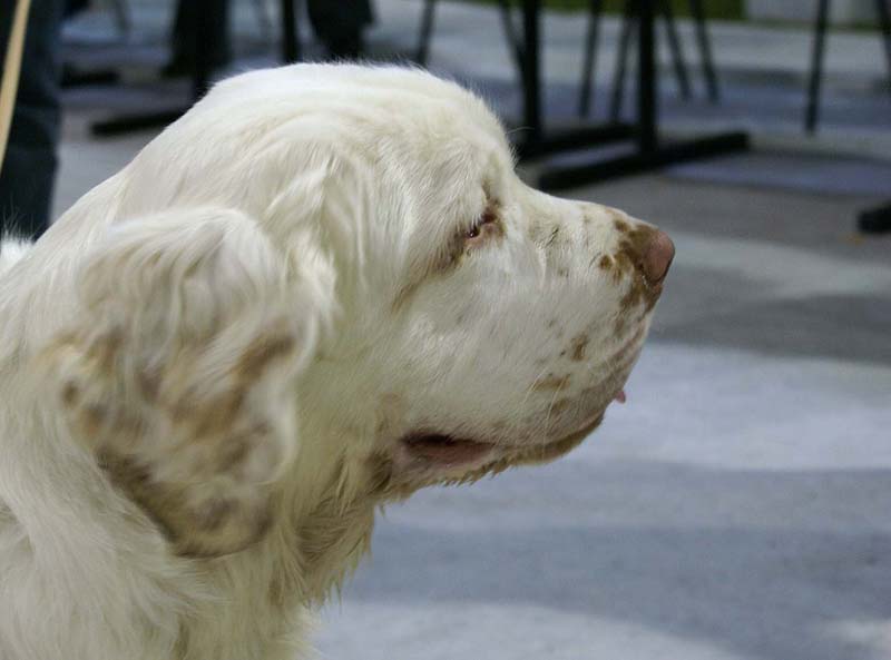 SSL19_Oct_2008_ST_SnowHow_b