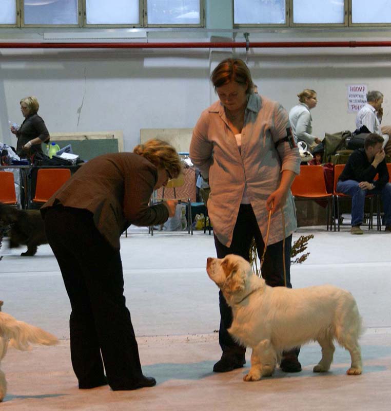 SSL19_Oct_2008_ST_SnowHow_d