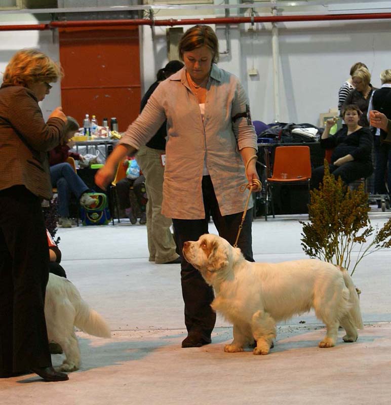 SSL19_Oct_2008_ST_SnowHow_f