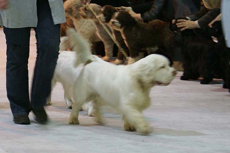 SSL19_Oct_2008_ST_SnowHow_g