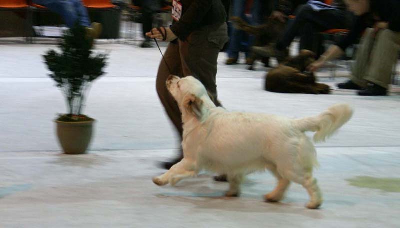 SSL19_Oct_2008_ST_SnowMercy