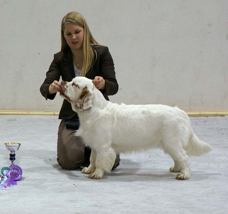 SSL19_Oct_2008_ST_SnowMercy_BestOfOppositeSexPuppy