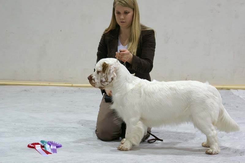 SSL19_Oct_2008_ST_SnowMercy_BestOfOppositeSexPuppy_d